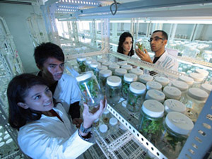 兑换网站稳定的doss网站攻击