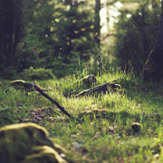 网络ddos监测分析工具