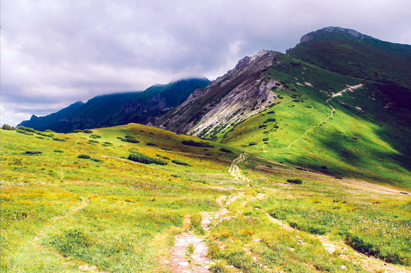 免费ddos压力测试平台