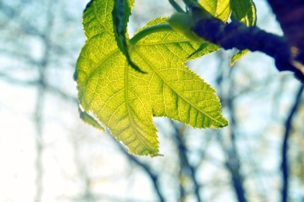 性能调优的免费ddos压力测试平台